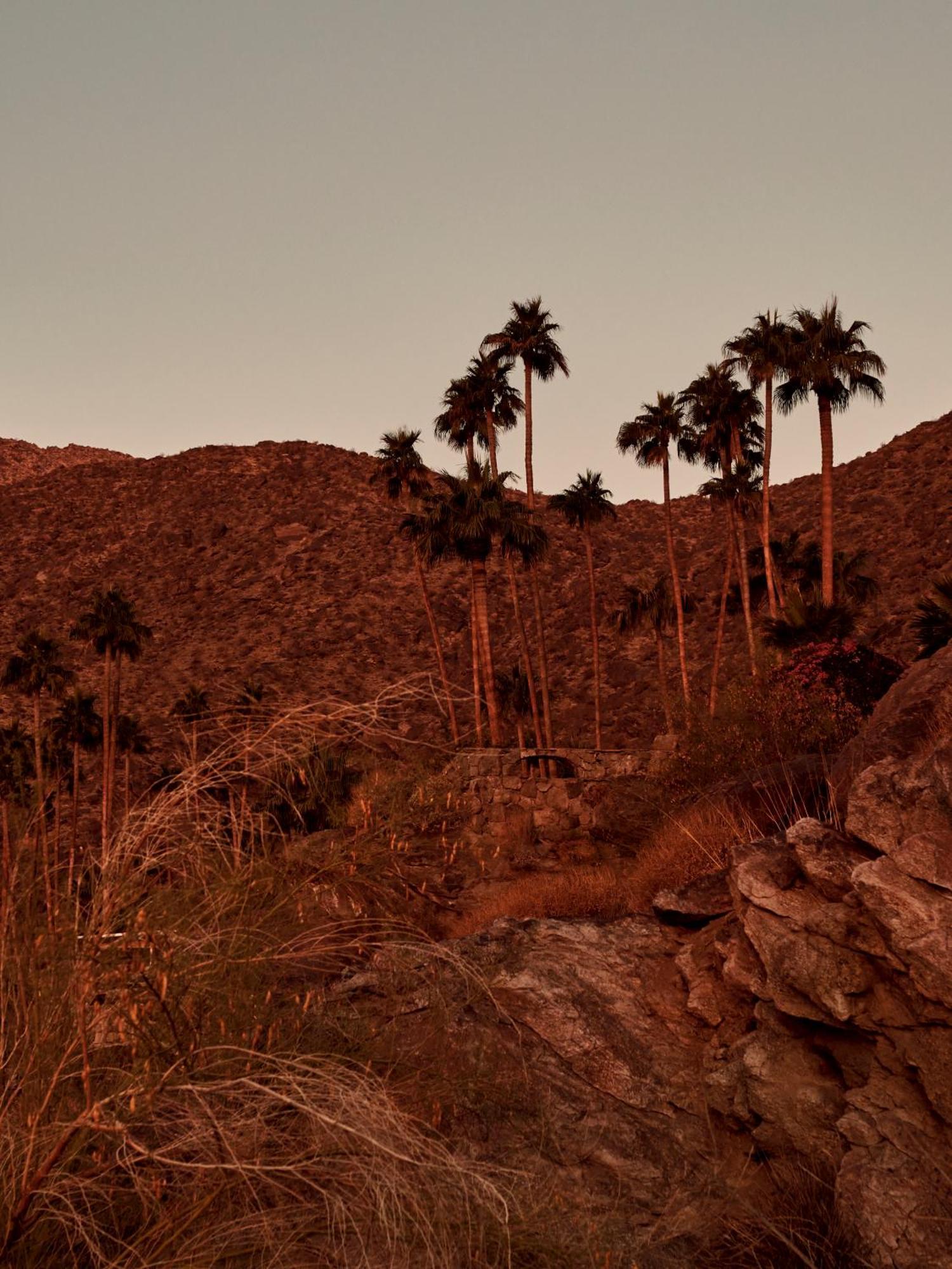 The Willows Palm Springs Exterior foto