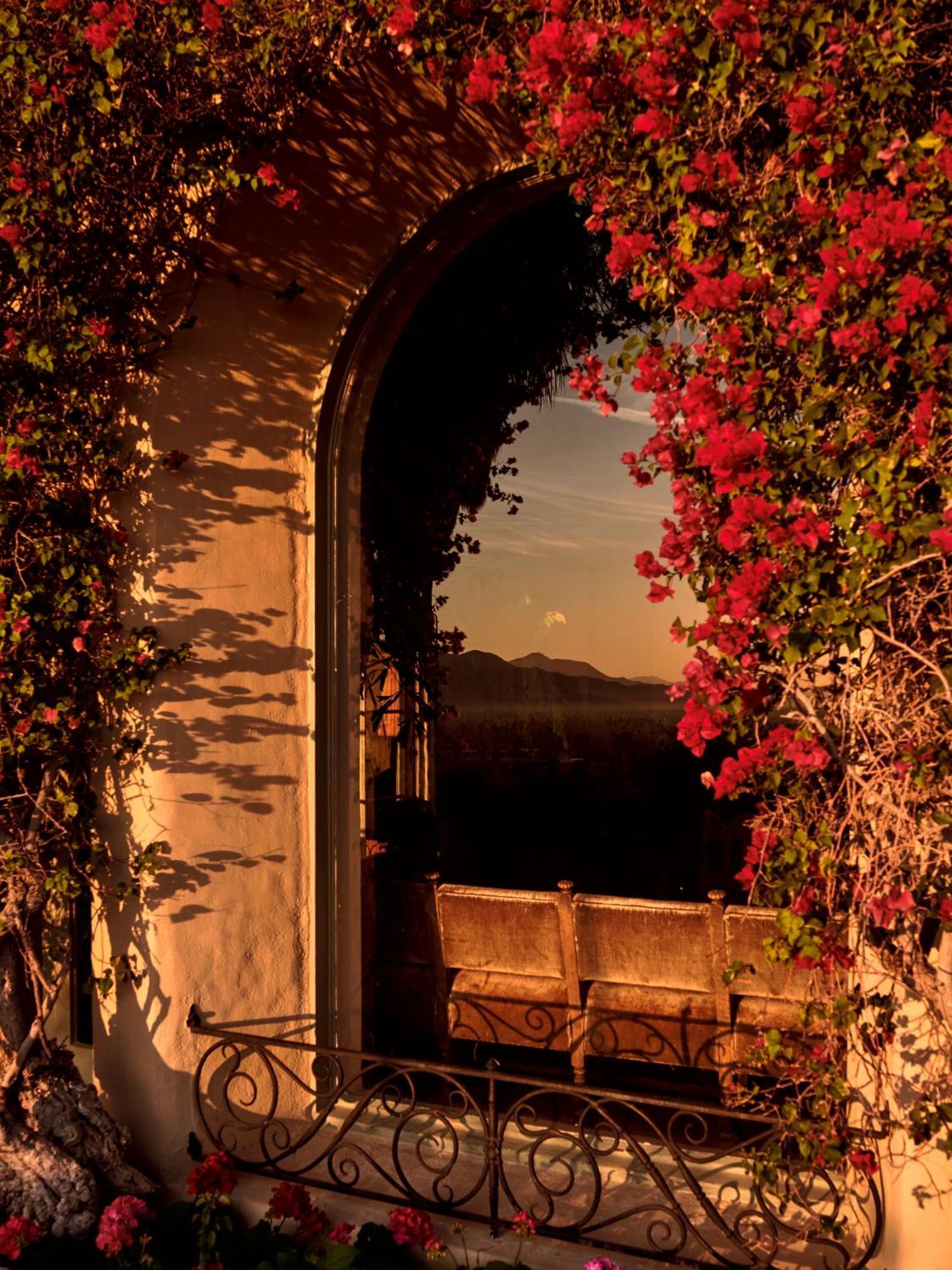 The Willows Palm Springs Exterior foto